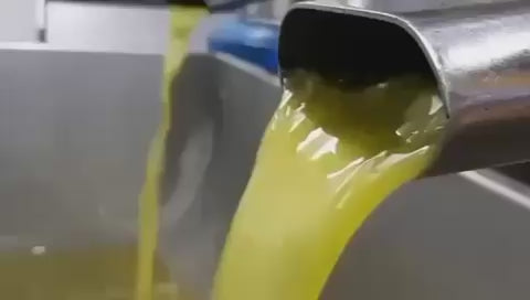 Extra virgin olive oil from Tunisia